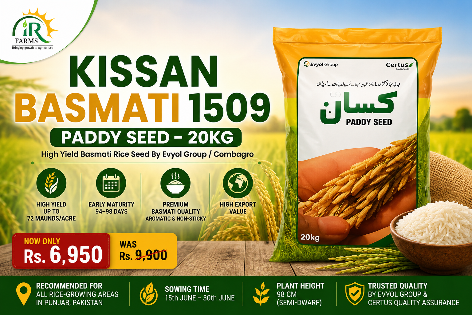 Kissan Basmati 1509 Paddy Seed By Evyol Group