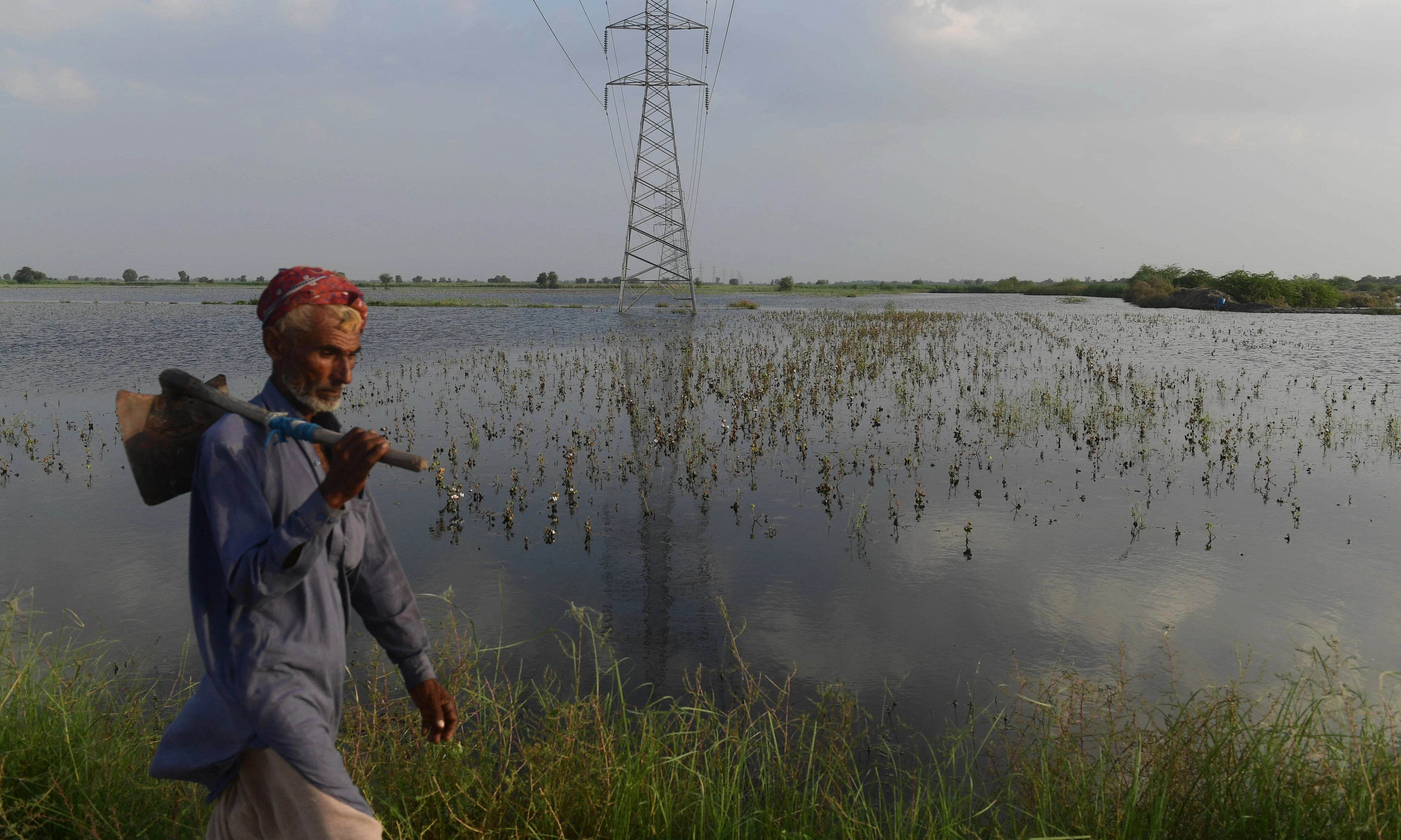 Pakistan’s Agriculture and Climate Change: A Nation at the Crossroads