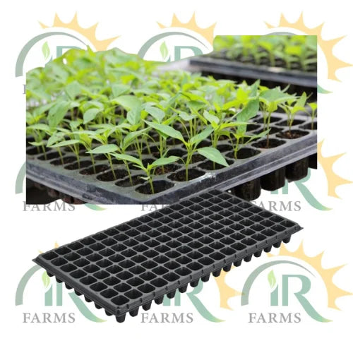 128 holes seedling tray made of durable plastic