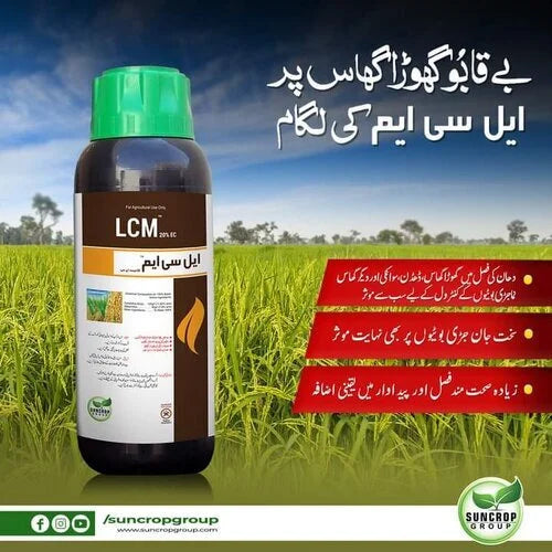 Blan 20ec 600ml Cyhalofop-butyl 120g/l Metamifop 80g/l گرینلیٹ انٹرنیشنل رائس ہربیسائیڈ (Lcm Sun Crop) Balan