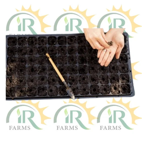 128 holes seedling tray made of durable plastic