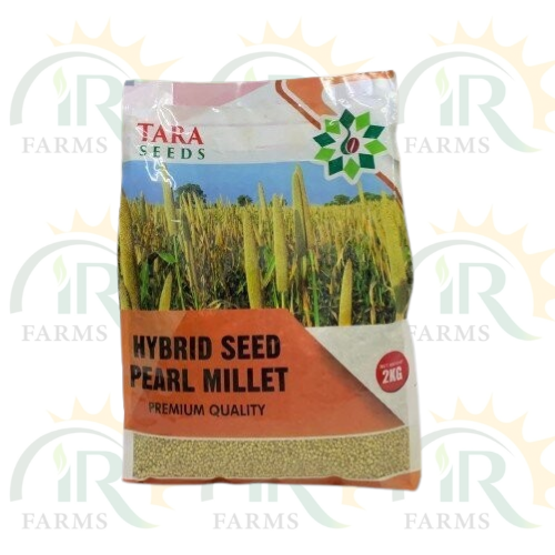 TARA PM 05 2kg Tara Bajra Hybrid Pearl Millet Seed F1 Tara Crop Science ICS Imperial Crop