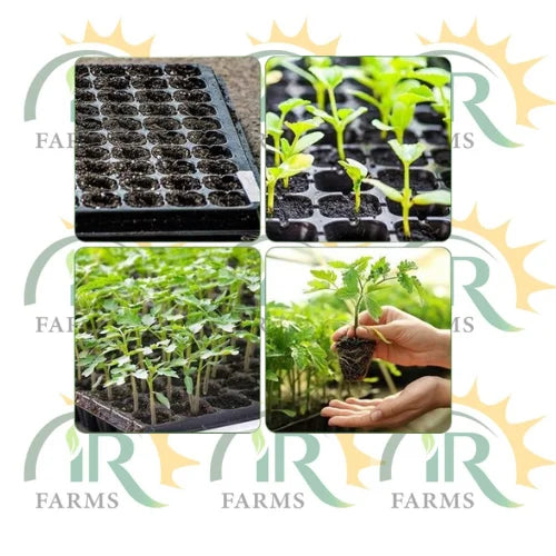 128 holes seedling tray made of durable plastic