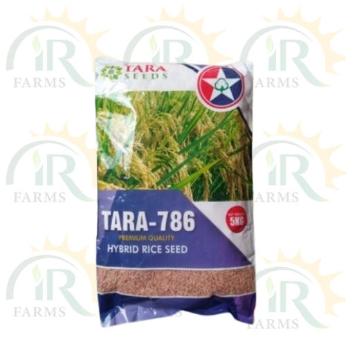 Tara 786 5kg Hybrice Rice Seed Tara Group Imperial Crop ICS Tara786 Paddy Rice IR Farm