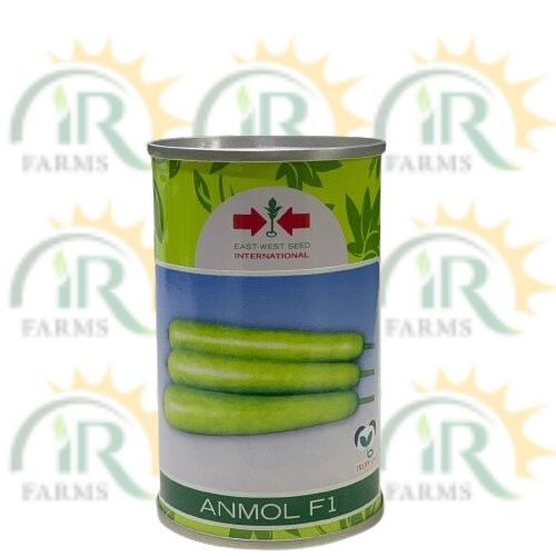 انمول ایف 1 ہائبرڈ بوتل لوکی 50 گرام حاجی سنز ٹریپکوٹ ایسٹ ویسٹ سیڈ انٹرنیشنل تھائی لینڈ لمبا کدو