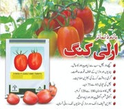 Hybrid F1 Early King Tomato Seeds From Millan Agro Seed
