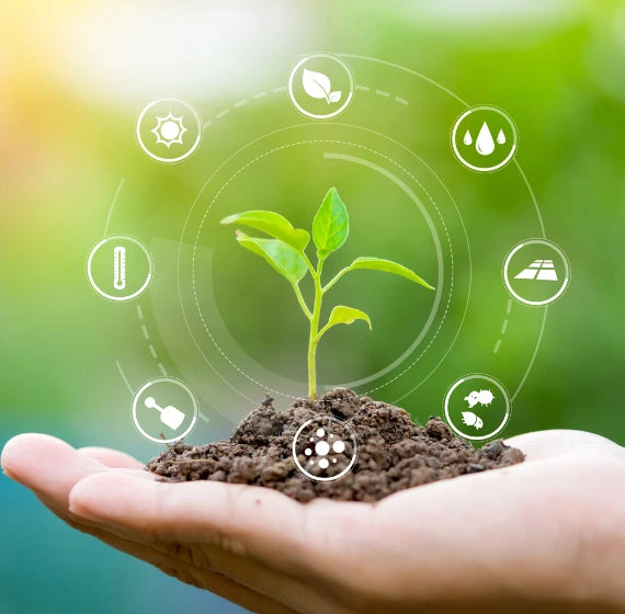 IR Farm | Best Online Agriculture Store In Pakistan