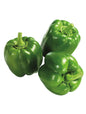 Shimla Mirch (Bell Pepper)