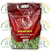 Roshan-2 Hybrid Rice Seed (5kg Bag) – High-Yield Paddy by Four Brothers (Tarzan Series)