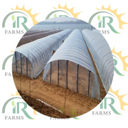 High Tunnel film or Green House film plastic covering for winter ice rink liner plastic sheeting heavy duty greenhouse plastic transparency film Garden Cover white rainproof Waterproof membrane white/transparent Walk in Tunnel 20/22 (50 Kg)