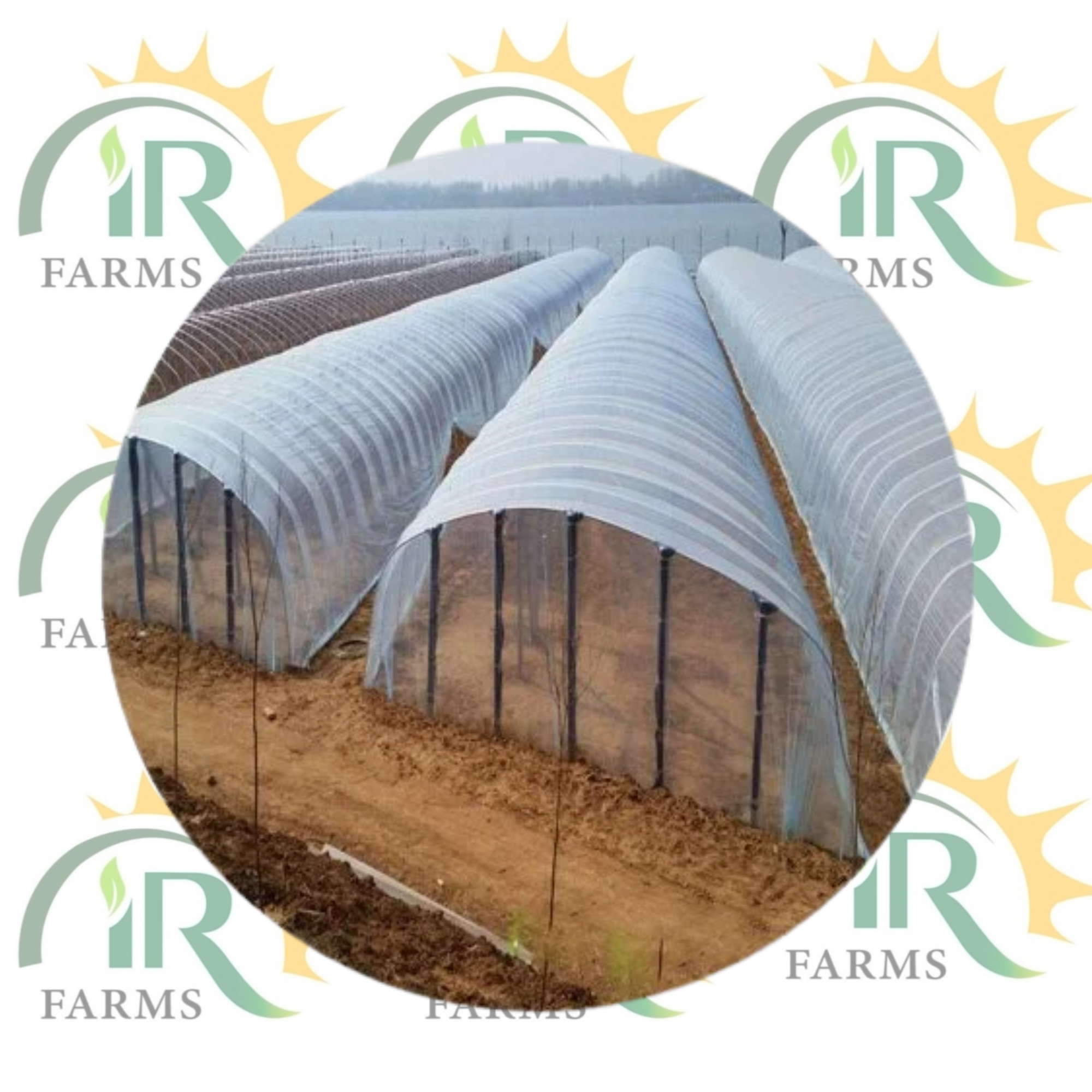 High Tunnel film or Green House film plastic covering for winter ice rink liner plastic sheeting heavy duty greenhouse plastic transparency film Garden Cover white rainproof Waterproof membrane white/transparent Walk in Tunnel 20/22 (50 Kg)