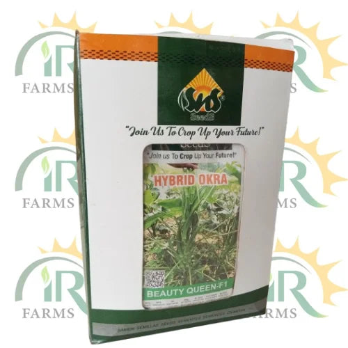 hybrid okra beauty queen f1 seeds 100g by SNS