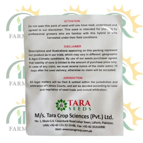 best cauliflower seed in pakistan  ics white dew f1 hybrid cauliflower seed