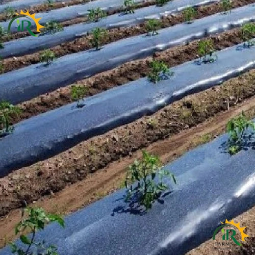 black ldpe black mulch film roll