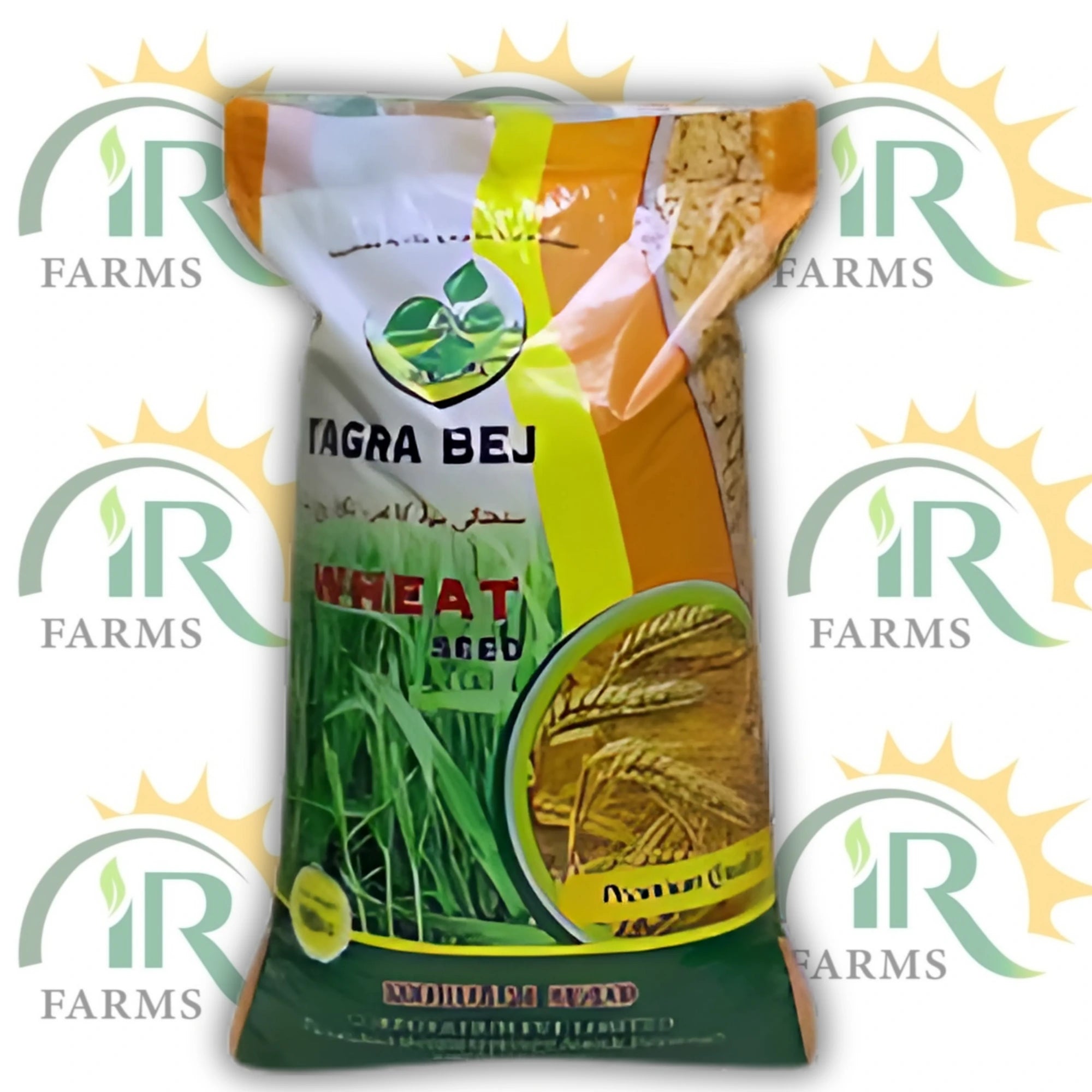 دلکش گندم کے بیج - 50 کلوگرام پیک | ٹگرا گندم بیج | نیا اسٹاک | اعلی پیداوار والی گندم کی اقسام | عالمی مصنوعات