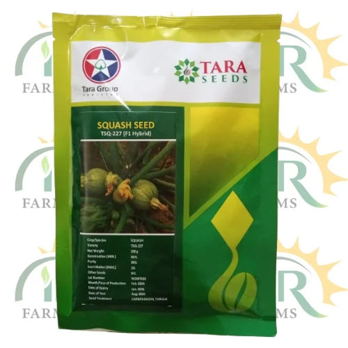 tsq 227 f1 hybrid squash seed