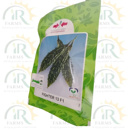 fighter 13 f1 haji sons