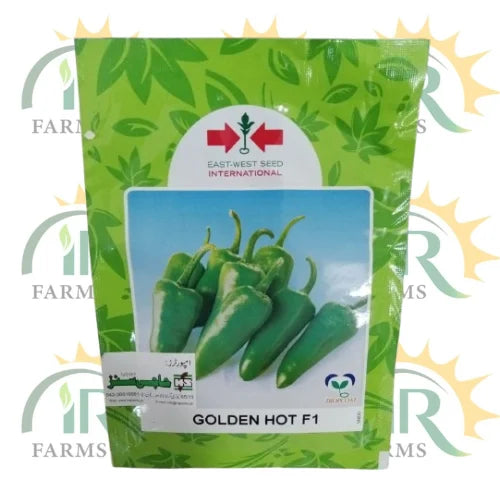 golden hot f1 hybrid chili seed price in pakistan ir farm