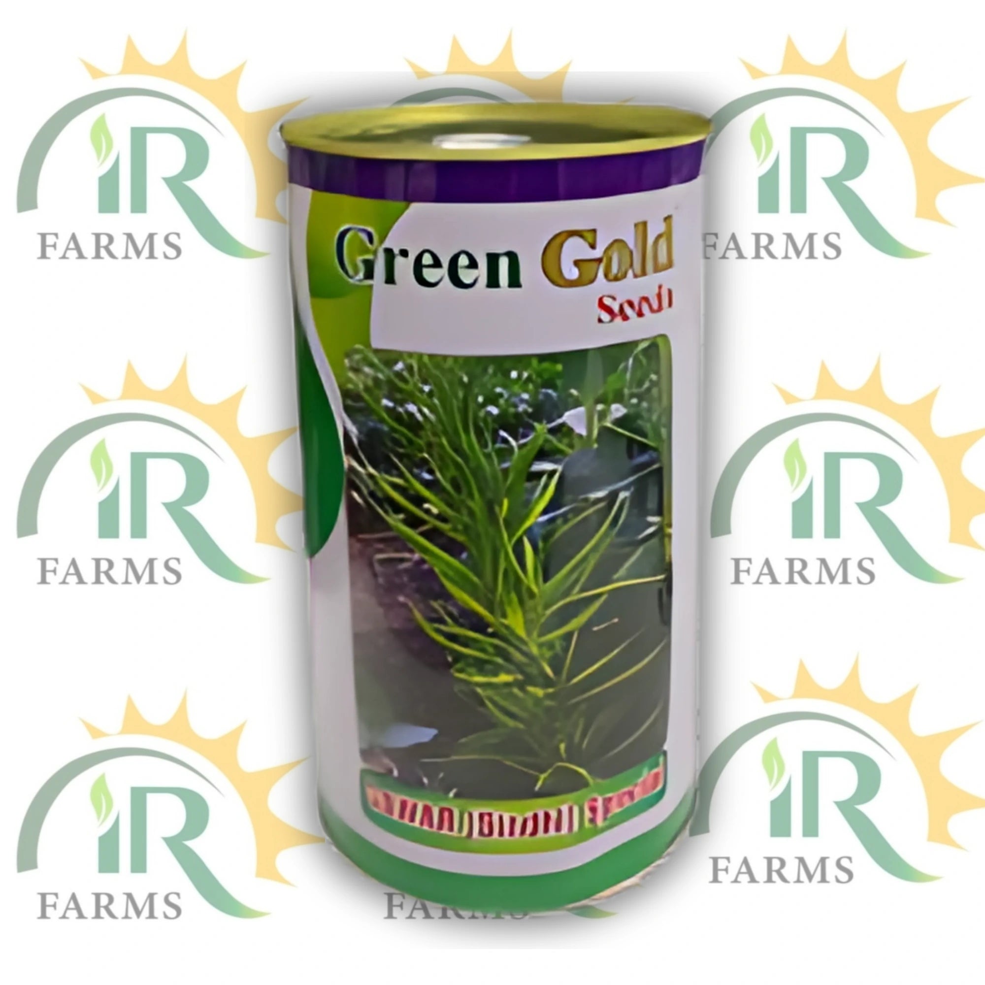 گوار بیج سندھی 500 گرام کلسٹر پھلیاں کے بیج / گاوار / گوار / گوور / گوکاراکایا / کوٹھاورائی / کوتھامارا بیج سبز گولڈ