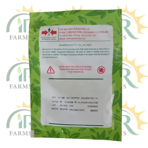 hot chilli seed golden hot f1 haji sons