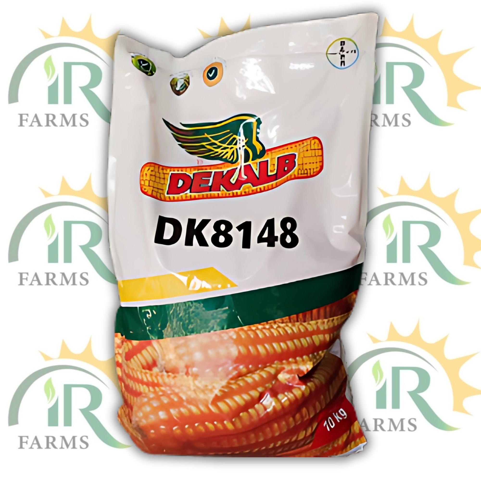 Dk8148 ہائبرڈ مکئی کے بیج 10 کلوگرام مونسانٹو ڈیکلب بائر مکئی کے بیج