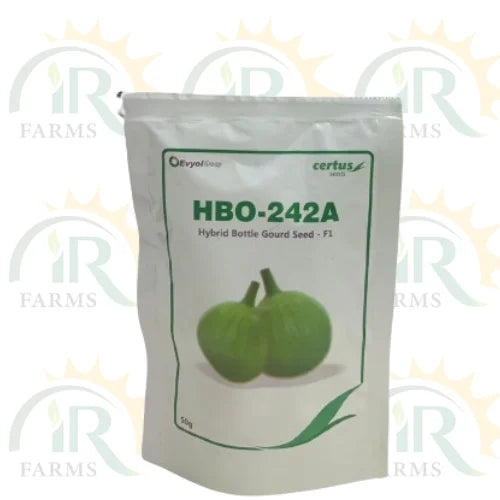 hybrid bottle gourd seed f1 hbo 242a