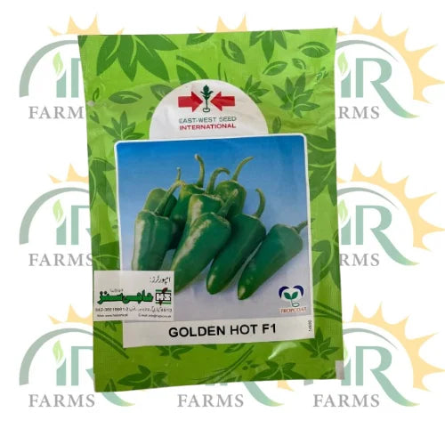 golden hot f1 hybrid chili seed tropcoat haji sons east west seed international