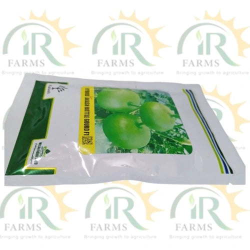 hybrid super akash bottle gourd f1 millan agro seed kaddu ke beej