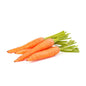 China Carrot