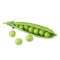 Mater (Peas)
