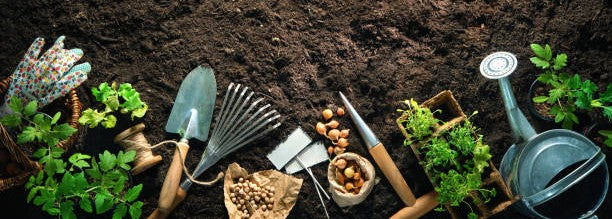 IR Farm | Best Online Agriculture Store In Pakistan