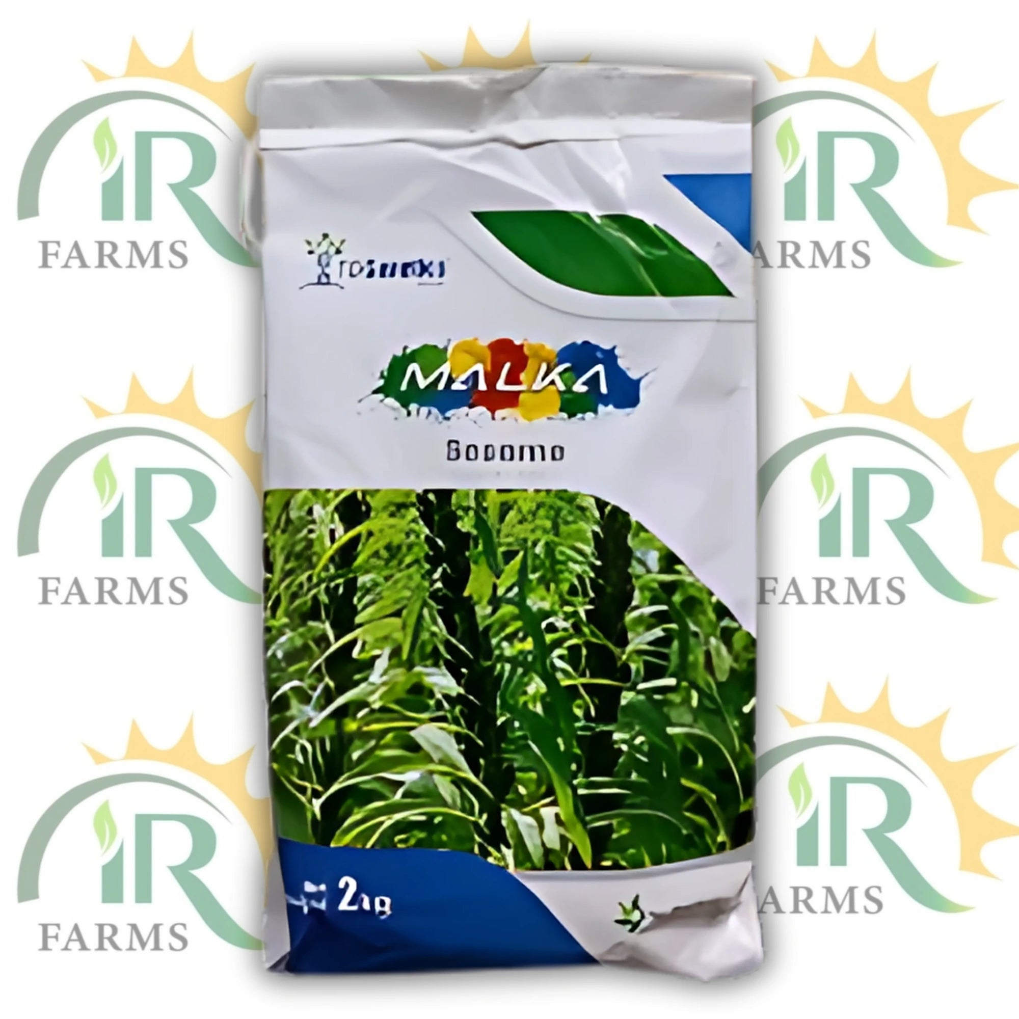 Sesame Seed 2kg – Chahat / Malkha Tarzan Variety | White Tilli Seed | Bushy Plant | Four Brothers