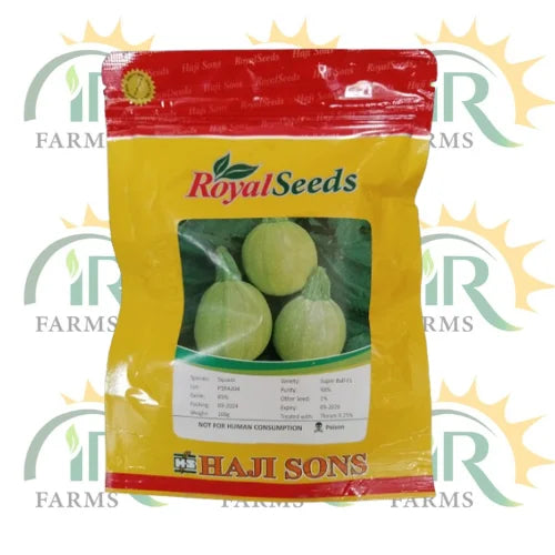royal seeds super ball f1 squash haji sons
