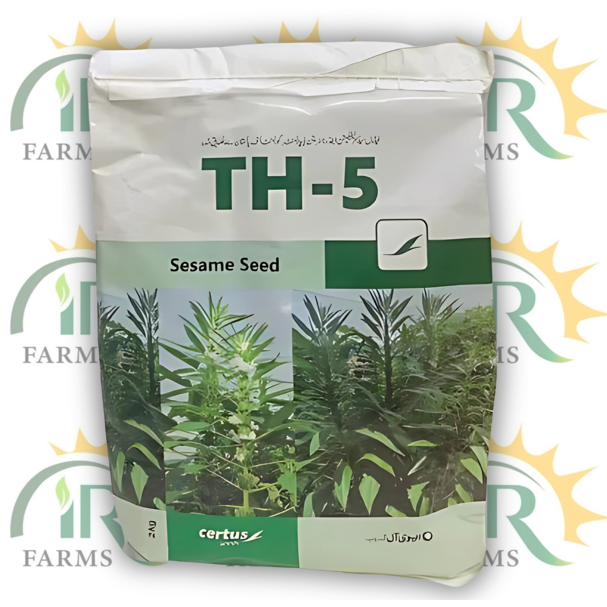 TS-05 Sesame Seeds 2kg – Pure Organic White Seeds | Evyol Combagro Hybrid