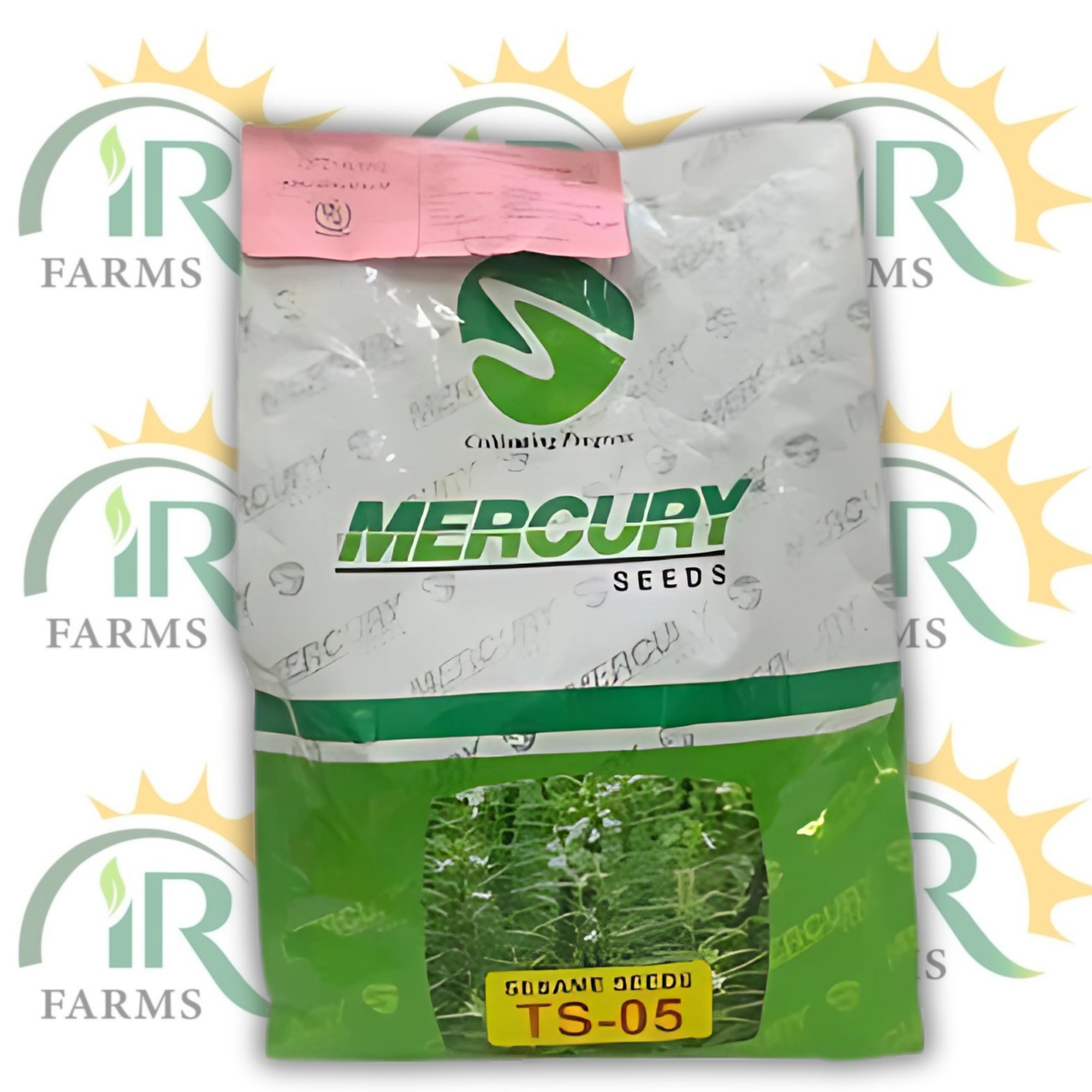 Sesame Seed TH-5 2KG – Organic White Till Seeds | TS-05 by Mercury Seeds