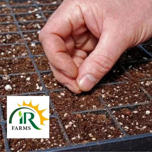 seedling tray for all types of seeds