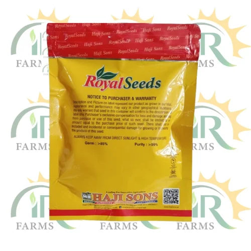 super ball squash 100 gm