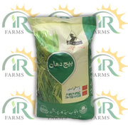 Super Basmati Rice Seed 20kg Paddy Seed Punjab Seed corporation Pakistani