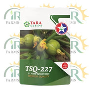 tsq 227 f1 hybrid squash seed tara seeds