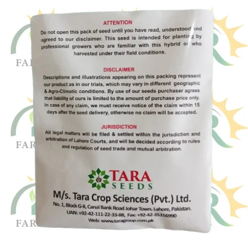 tsq 227 f1 hybrid squash seed tara seed high quality ir farm