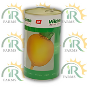 Turnip Yellow Top Golden Ball 400gm Imported Denmark Vikima Danish Quality Distributor Green Gold Peela Shaljam Beej Shuljam