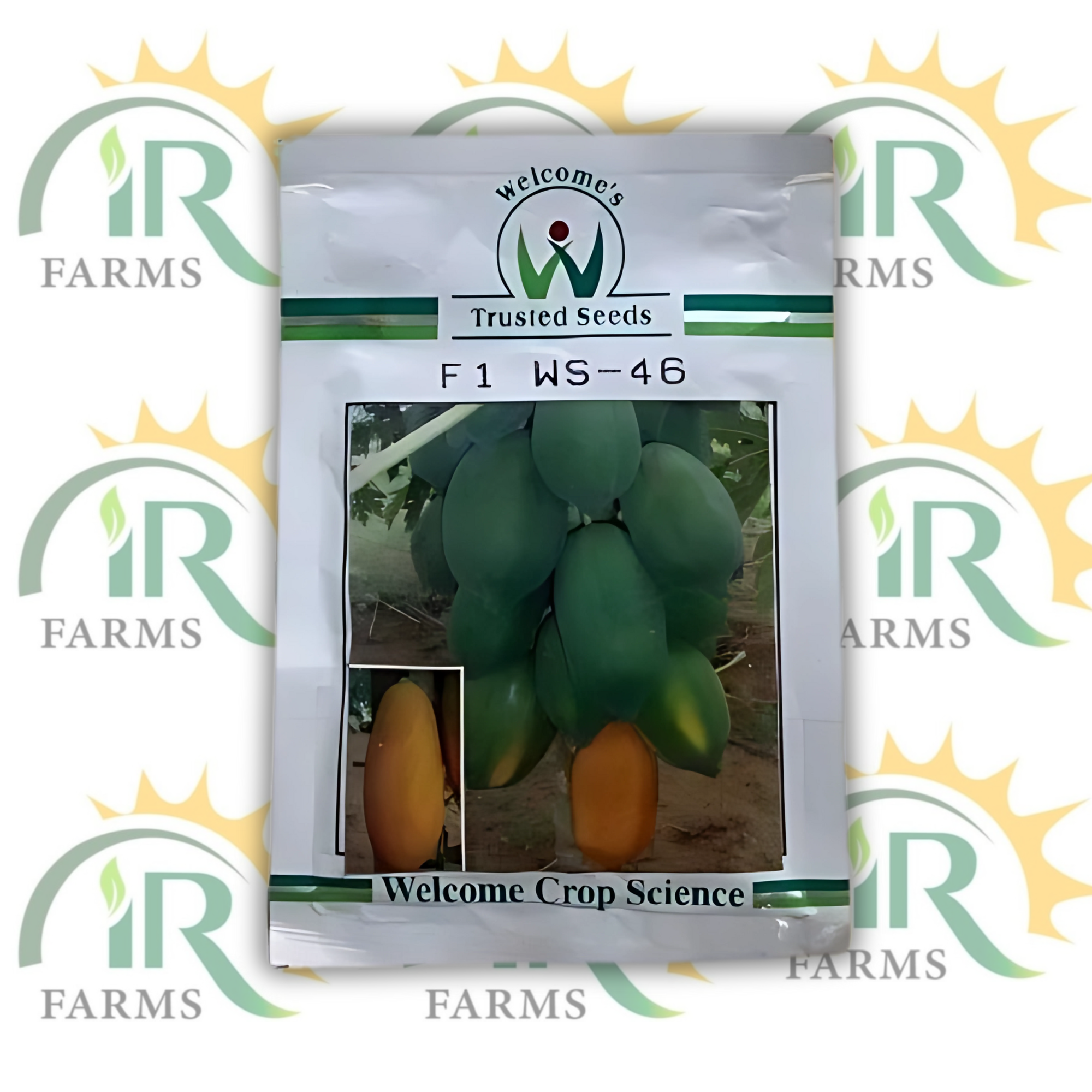 F1 WS-46 ہائبرڈ پپیتے کے بیج – 500 بیج | خوش آمدید فصل سائنس | قابل اعتماد بیج | زیادہ پیداوار والا کیریکا پپیتا