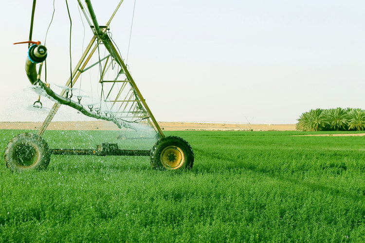 Agriculture Business Ideas 2025