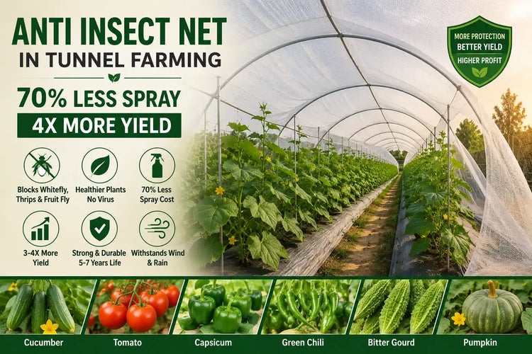 anti insect net in tunnel farming