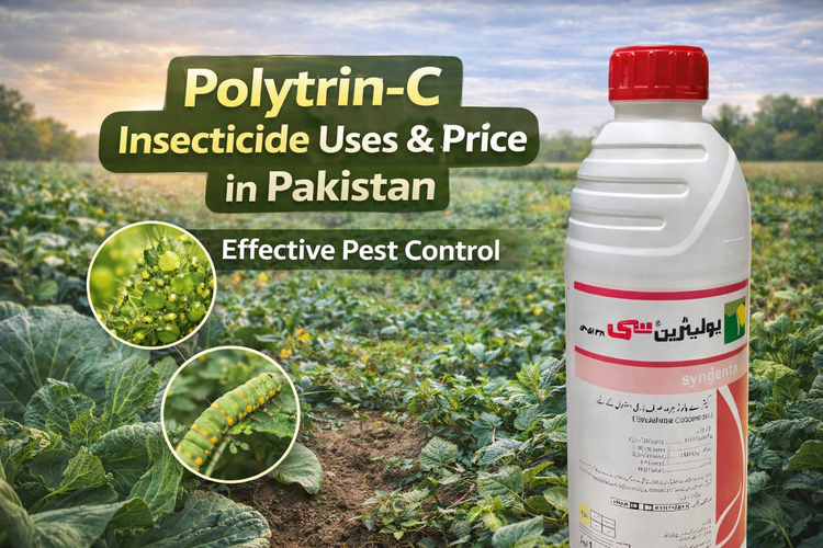 Comprehensive Guide to Polytrin-C Insecticide Uses and Price in Pakistan