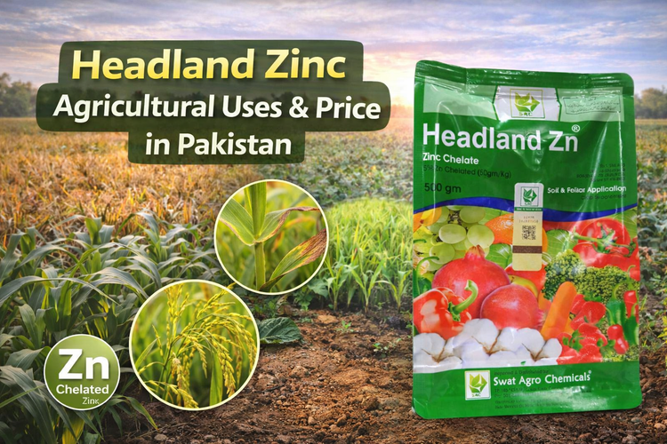 Headland Zinc –  Agricultural Uses & Price in Pakistan