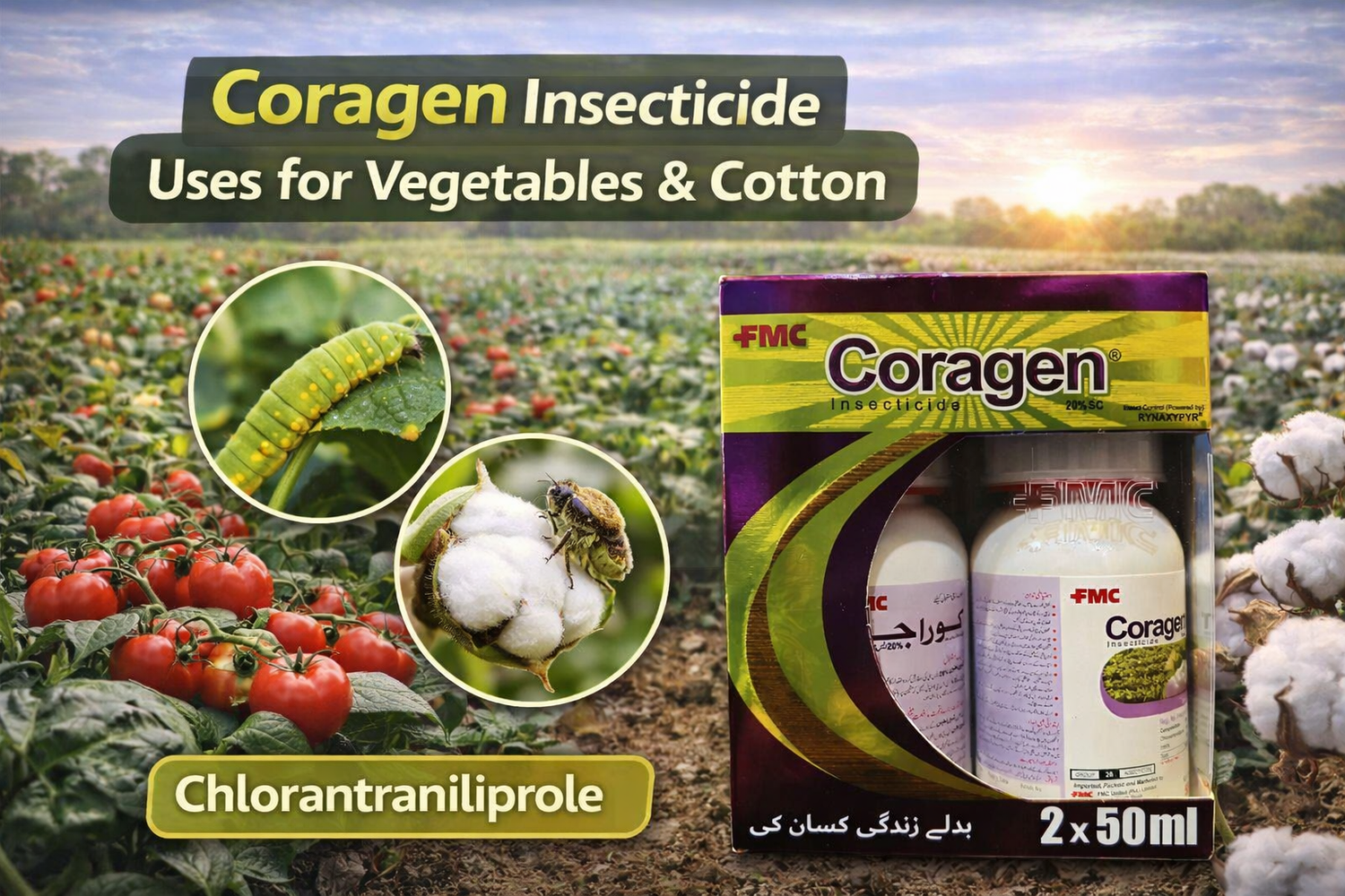 Effective Pest Control with Coragen Insecticide for Vegetables & Cotton