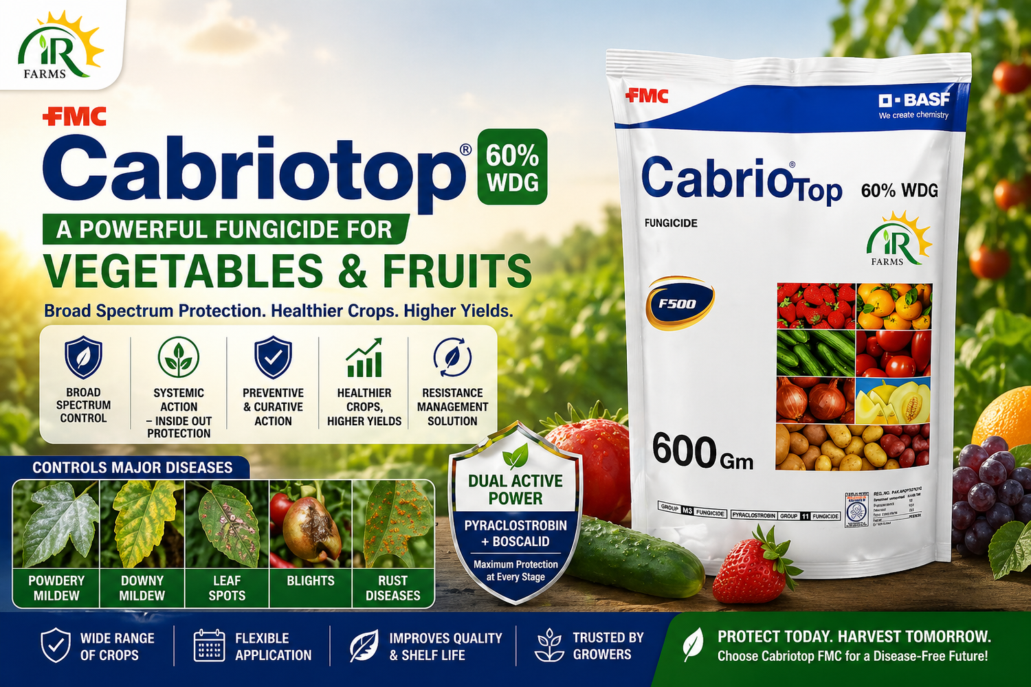 Cabriotop FMC – A Powerful Fungicide for Vegetables &amp; Fruits