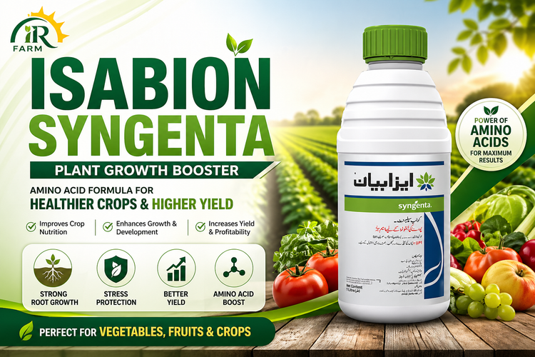 Isabion Syngenta
