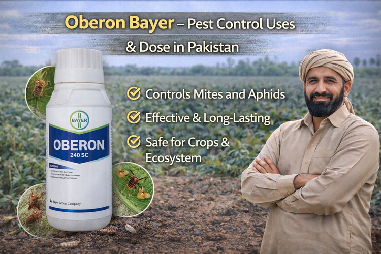 Oberon Bayer – Mite Control Uses and Price in Pakistan